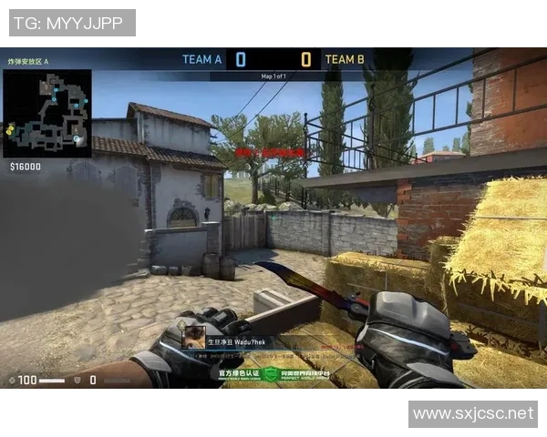 csgo无法进入比赛-CSGO无法进入比赛的困扰与解决方案-csgo无法进入比赛