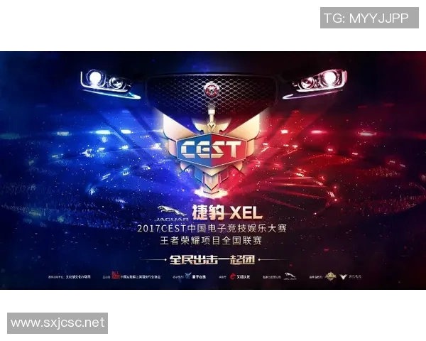 wings的比赛-激烈角逐，Wings战队的荣耀之战-wings的比赛